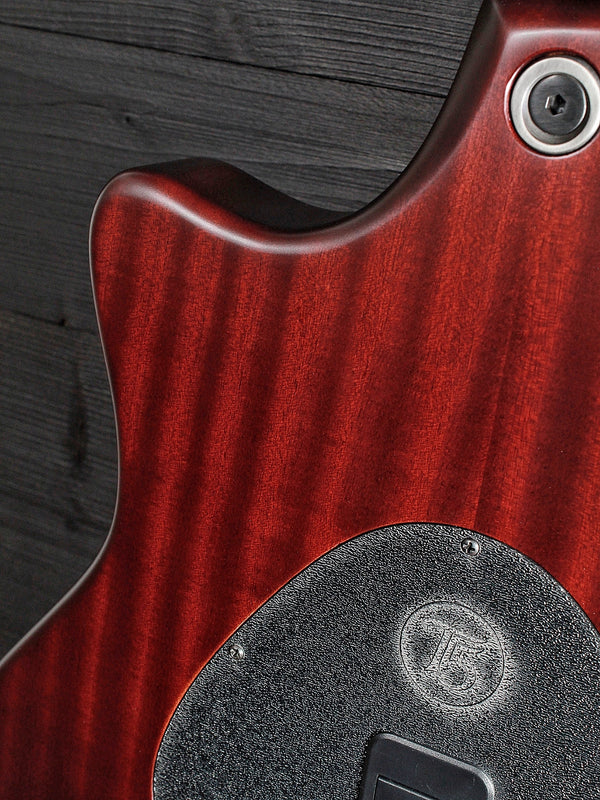 Taylor T5 Classic Koa Top (Full Size T5) Authorized Online Dealer