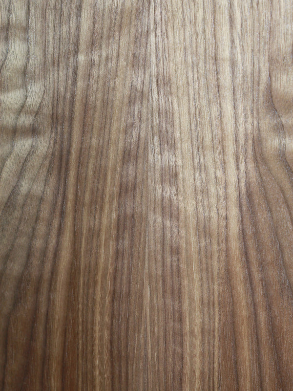Taylor A12e-N Academy Series nylon string acoustic guitar walnut grain close up