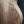 Load image into Gallery viewer, Taylor A12e-N Academy Series nylon string acoustic guitar walnut lower bout
