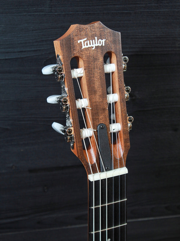 Taylor Academy 12E N / Nylon String - Holiday Price Reduction - Walnut Spruce Acoustic-Electric Guitar