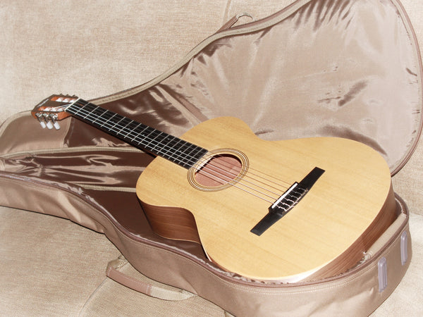 Taylor Academy 12 N / Nylon String - Holiday Sale - Walnut Grand Concert w/ Armrest Acoustic Guitar