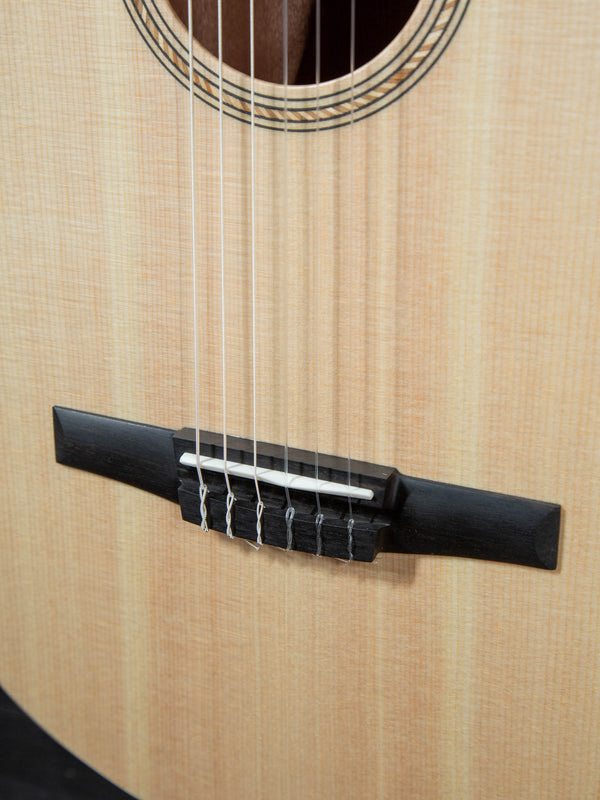 Taylor Academy 12 N / Nylon String - Solid Top Grand Concert w/ Armres –  Tobias Music