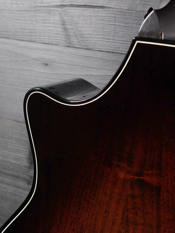 Urban Ash back on Taylor Builder’s Edition 514ce Next Generation