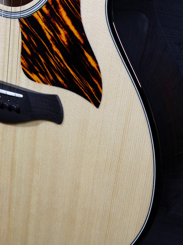 Taylor Builder’s Edition 514ce acoustic guitar at Tobias Music