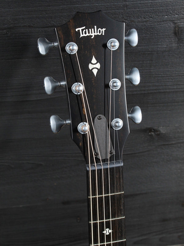 Taylor Builder’s Edition 514ce ebony fingerboard and headstock