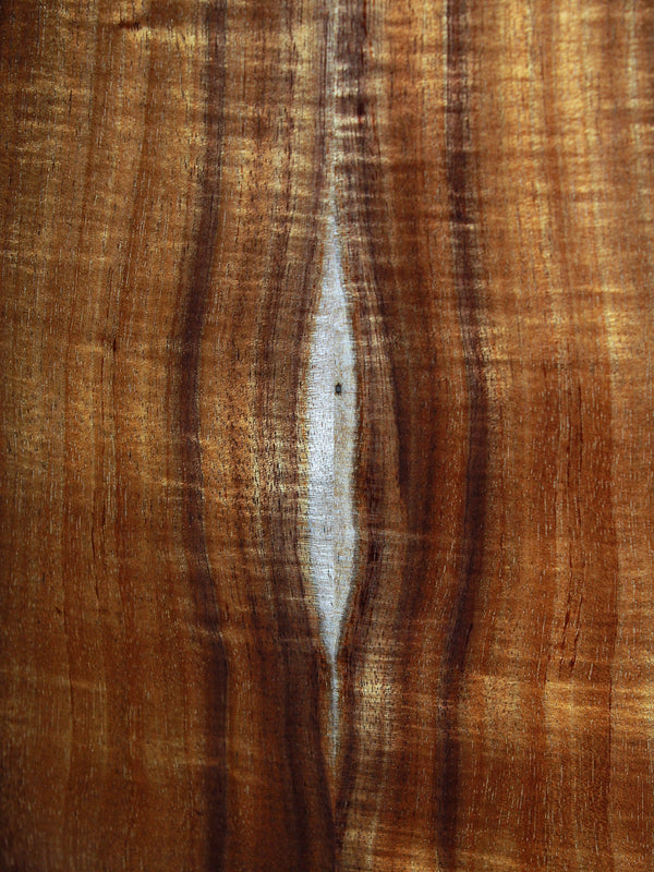 Taylor Builder’s Edition K24ce figured Hawaiian Koa back