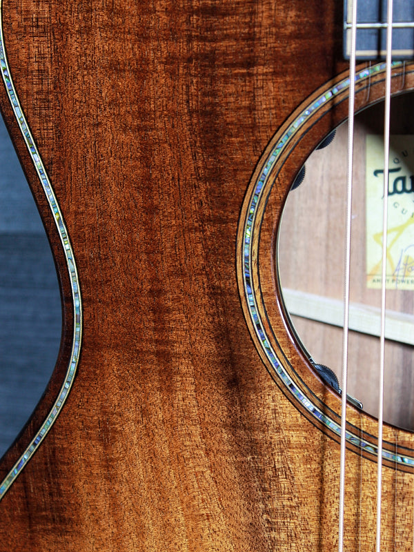 Taylor Claria pickup controls on Builder’s Edition K24ce