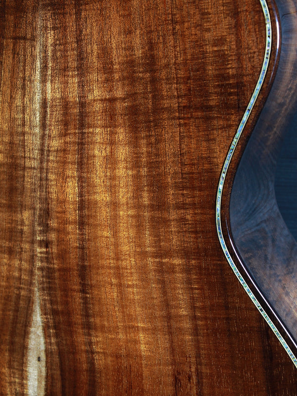 Taylor Builder’s Edition K24ce figured Hawaiian Koa back
