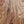 Load image into Gallery viewer, Taylor NAMM “Catch” Custom C10e Dreadnought – Honduran Rosewood &amp; Adirondack Spruce – #13 B6013
