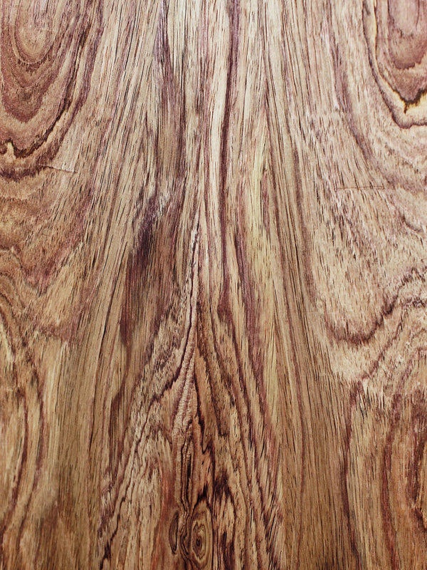 Taylor NAMM “Catch” Custom C10e Dreadnought – Honduran Rosewood & Adirondack Spruce – #13 B6013
