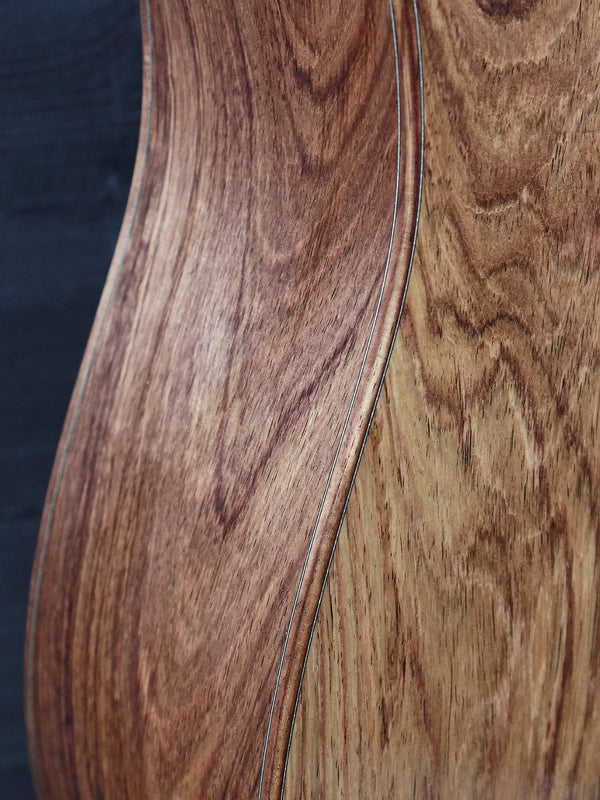 Taylor NAMM “Catch” Custom C10e Dreadnought – Honduran Rosewood & Adirondack Spruce – #13 B6013
