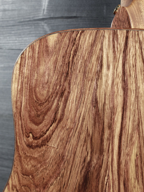 Taylor NAMM “Catch” Custom C10e Dreadnought – Honduran Rosewood & Adirondack Spruce – #13 B6013
