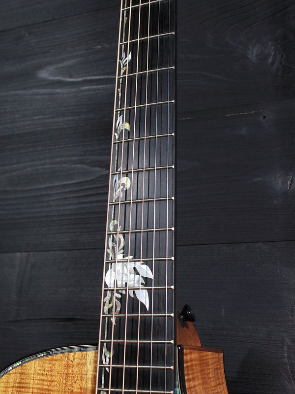 Premium Hawaiian Koa back on Taylor Custom acoustic guitar Tropical Vine fretboard inlay