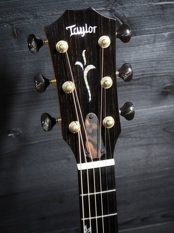 Premium Hawaiian Koa back on Taylor Custom acoustic guitar headstock with black marbled tuner buttons