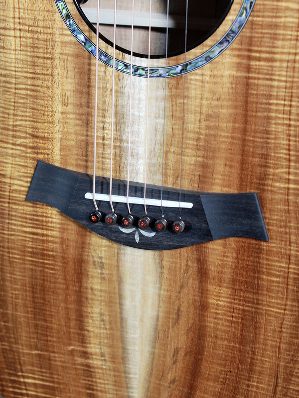 Premium Hawaiian Koa back on Taylor Custom acoustic guitar bridge with stained bone bridge pins with Opal dots
