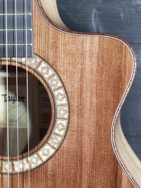 Taylor Custom Grand Concert Nylon-String Namm C12ce-N B3046