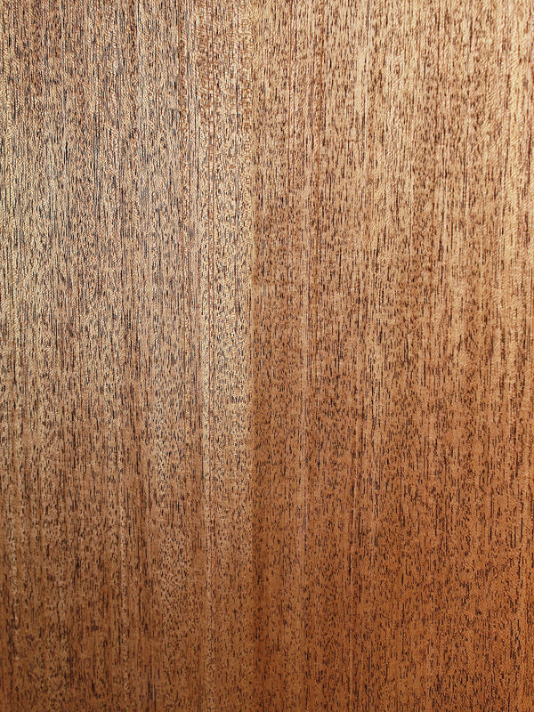 Solid mahogany back on Taylor Gold Label 514e close up wood grain
