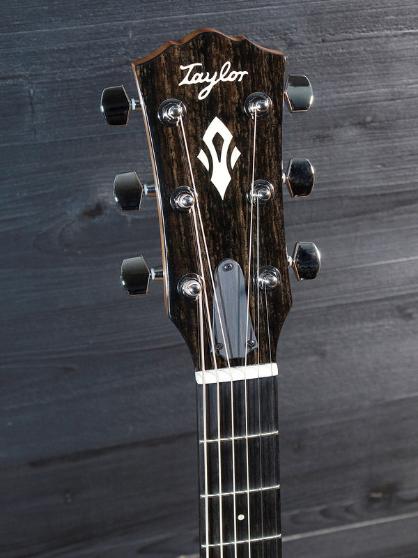 Taylor Gold Label 514e Blacktop with headstock and tuners