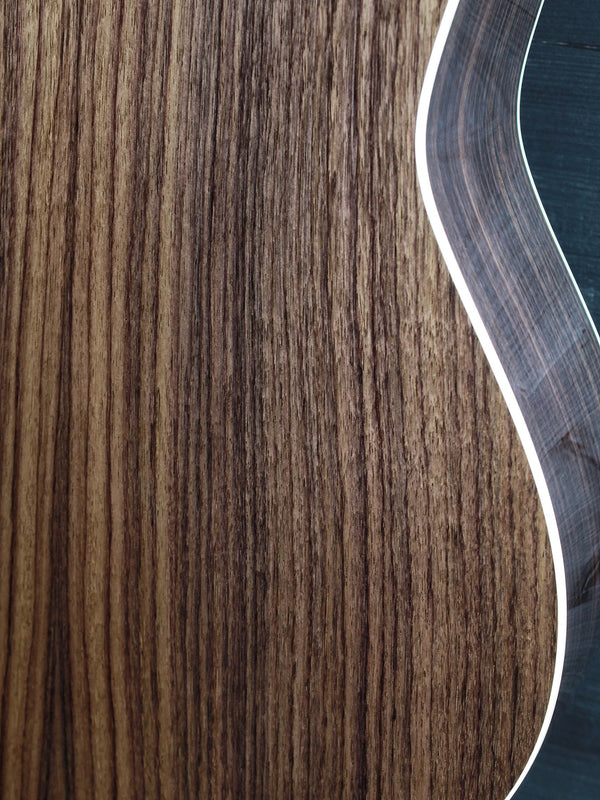 Taylor Gold Label 717e Sunburst solid rosewood back