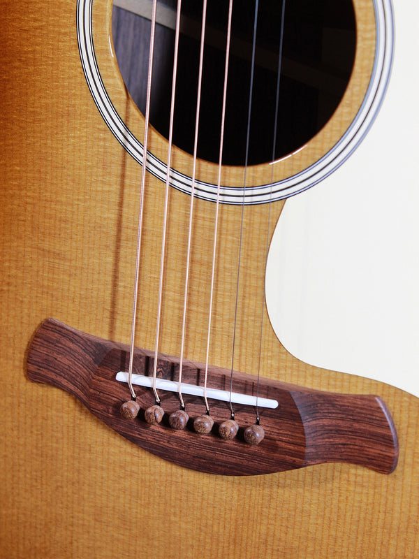 Taylor Gold Label 717e Sunburst Golden Brown Shaded Edgeburst top Honduran rosewood bridge