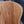 Load image into Gallery viewer, Taylor Gold Label 814e Honduran Rosewood Torrified Spruce Acoustic-Electric Guitar
