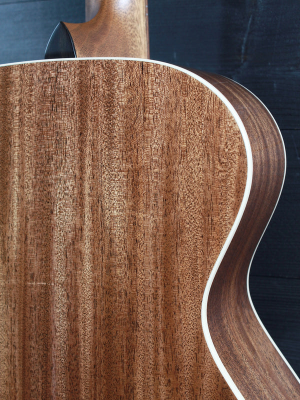 Back view of Taylor Gold Label Ben Harper Signature 512e guitar
