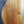 Load image into Gallery viewer, Taylor GS Mini-e Koa Acoustic-Electric Guitar – Exotic Hawaiian Koa Premium Travel Guitar
