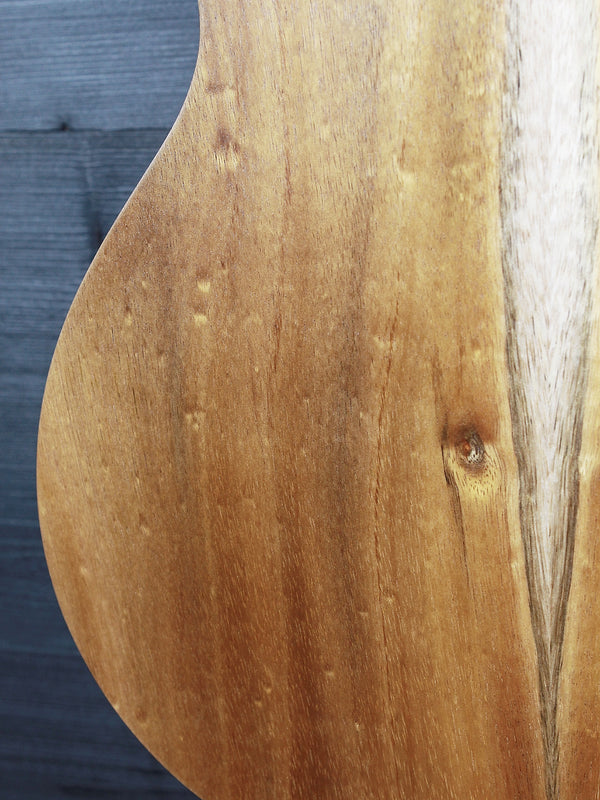 Taylor GS Mini-e Koa Acoustic-Electric Guitar – Exotic Hawaiian Koa Premium Travel Guitar