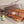 Load image into Gallery viewer, Taylor GS Mini-e Koa Acoustic-Electric Guitar – Exotic Hawaiian Koa Premium Travel Guitar
