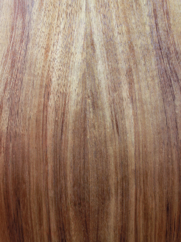 Taylor GS Mini E Koa - Acoustic-Electric Guitar