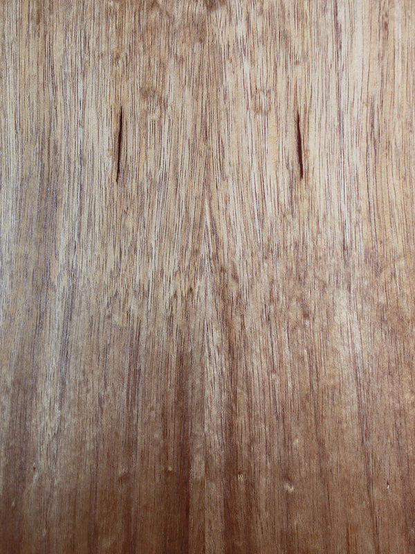 Taylor GS Mini-e Koa Bass - Acoustic / Electric Bass