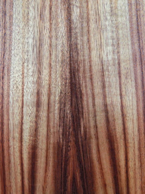 Taylor GS Mini-e Koa Bass - Acoustic / Electric Bass