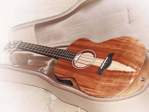 Taylor GS Mini-e Koa Bass - Acoustic / Electric Bass