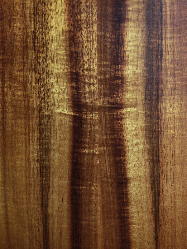 Taylor GS Mini-e Koa Plus - ES2 Electronics Acoustic Guitar