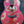 Load image into Gallery viewer, Taylor GS Mini-e Special Edition, Year of the Dragon Acoustic-Electric Guitar
