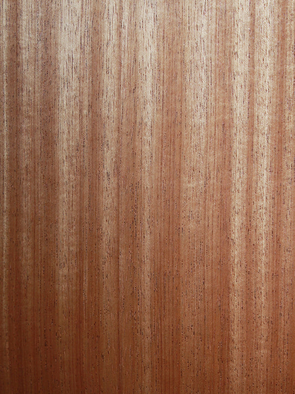 Taylor GS Mini-e Special Edition Floral Green sapele back and sides close up
