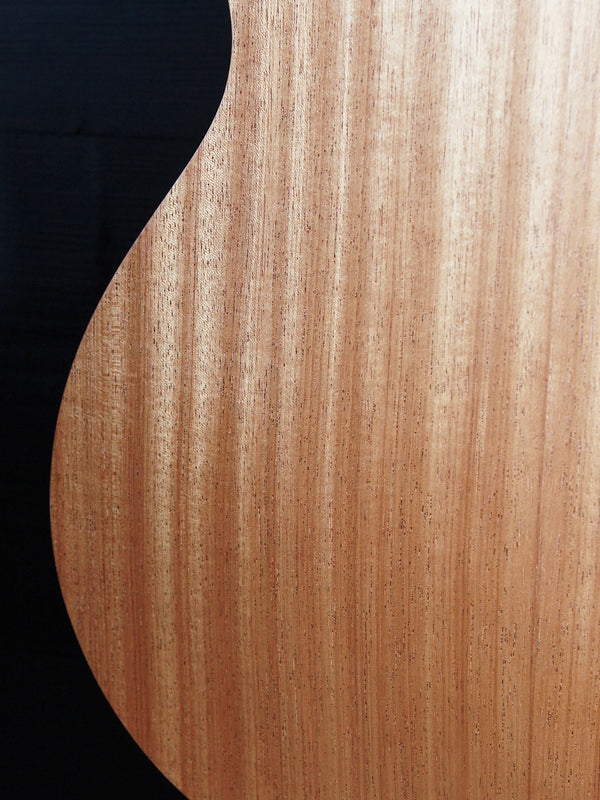 Taylor GS Mini-e Special Edition Floral Green sapele back and sides Wood grain