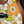 Load image into Gallery viewer, Taylor GS Mini-e Special Edition Floral Green floral artwork and torrefied spruce top and sides
