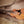 Load image into Gallery viewer, Taylor GS Mini Mahogany Acoustic Guitar – Solid Top Travel Guitar (No Electronics)

