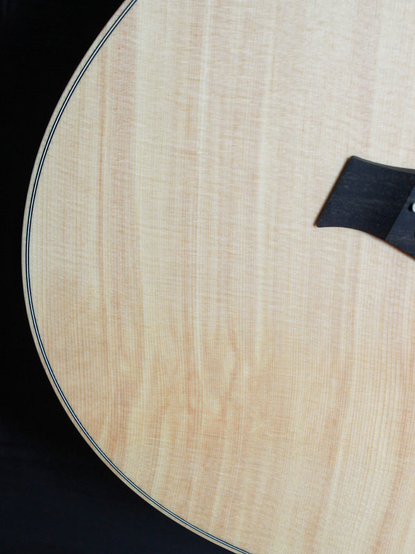 Taylor GS Mini-Rosewood w/ Deluxe Softshell Case
