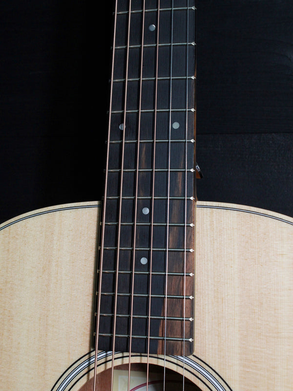 Taylor GS Mini-Rosewood w/ Deluxe Softshell Case