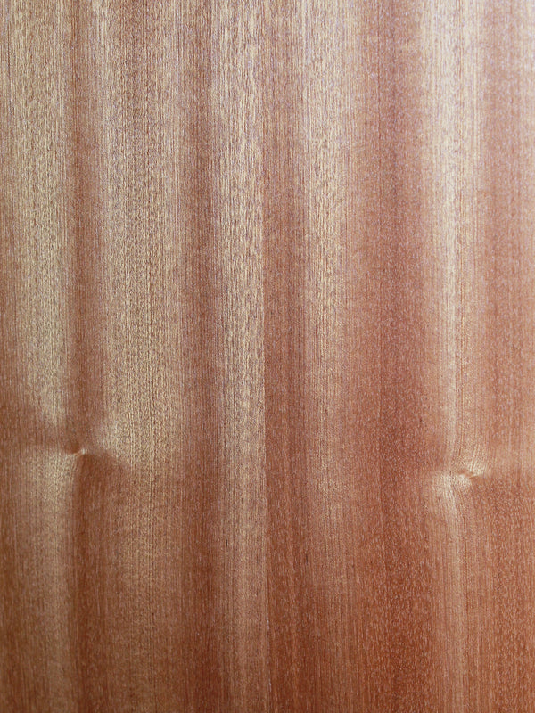 Taylor Guitars 110ce - Sapele/Spruce Dreadnought AcoustIc w/ Electronics