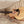 Load image into Gallery viewer, Taylor 112ce Sapele / Spruce Grand Concert Acoustic-Electric Guitar
