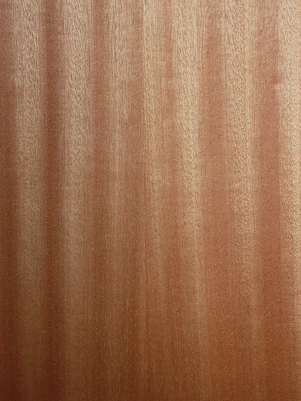 Taylor 112ce Sapele / Spruce Holiday Sale Acoustic-Electric Guitar