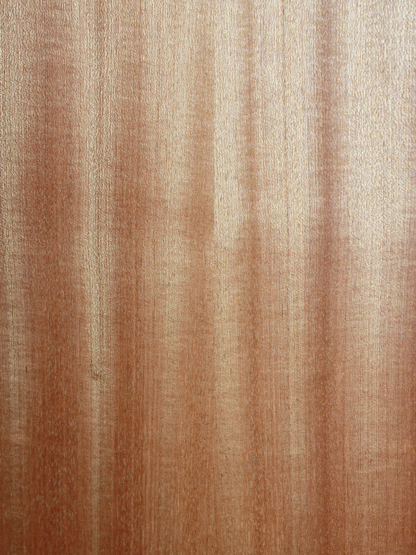 Taylor 114ce Sapele / Spruce Grand Auditorium Guitar w/ ES2 Electronics