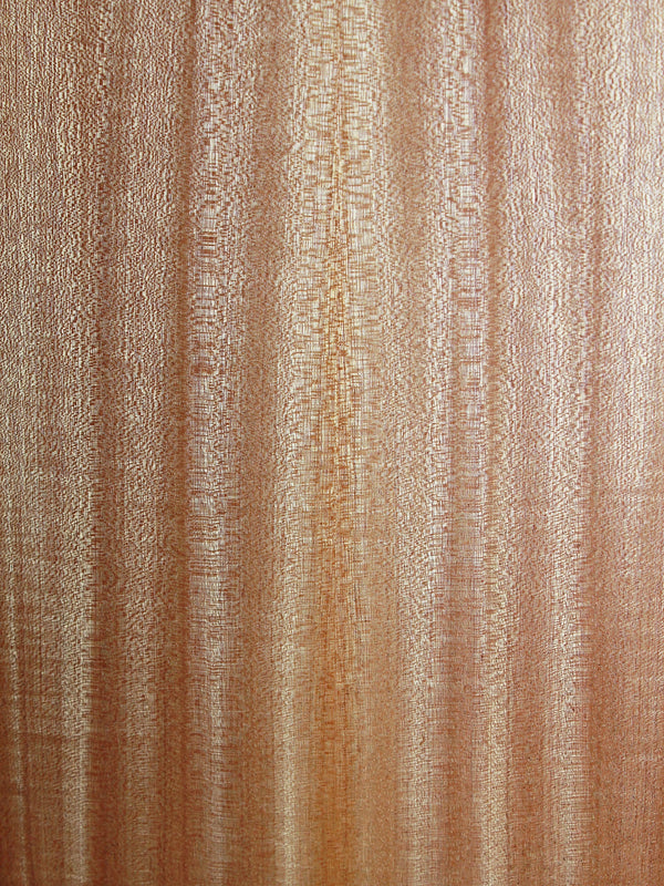 Taylor Guitars 14ce Left-Handed Solid Top Grand Auditorium w/ Fishman Electronics