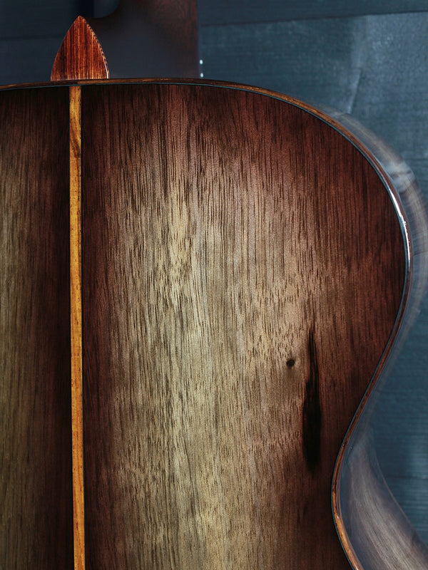 Taylor 2025 NAMM / Catch Custom #10 C12e Grand Concert 12-Fret Sinker Cypress