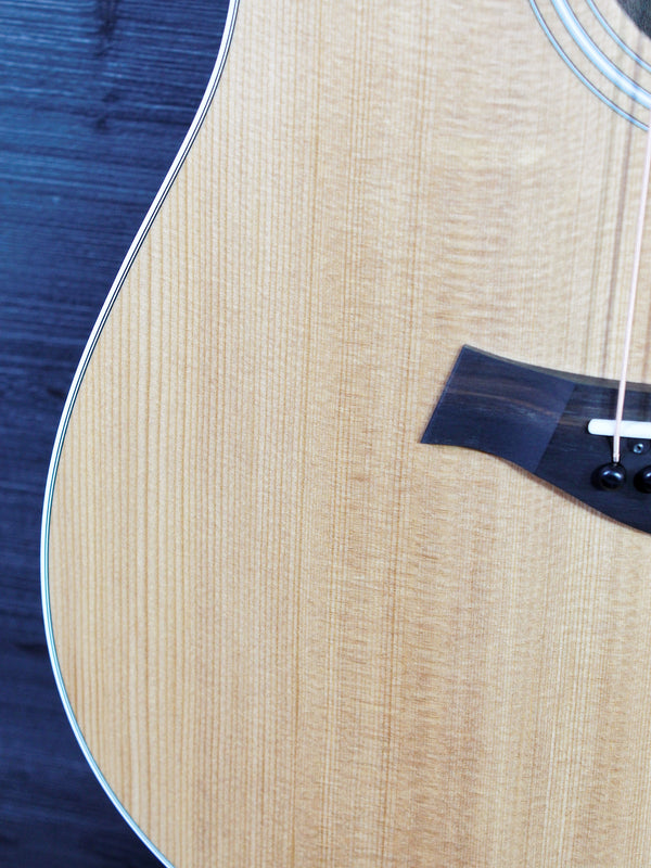 Taylor 210ce Walnut / Spruce Dreadnought Guitar - ES2 Electronics