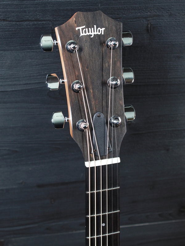 Taylor 210ce Walnut / Spruce Dreadnought Guitar - ES2 Electronics