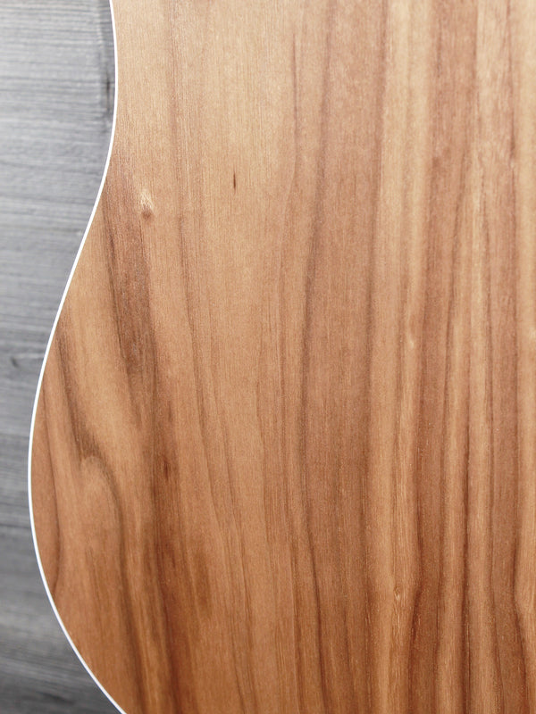 Taylor 210ce Walnut / Spruce Dreadnought Guitar - ES2 Electronics